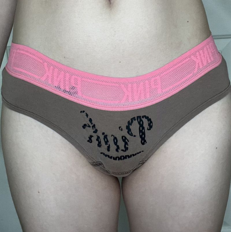 Pink and Brown VS PINK Cheeky Panties