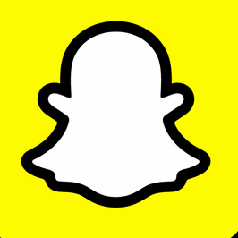 Lifetime SnapChat Access