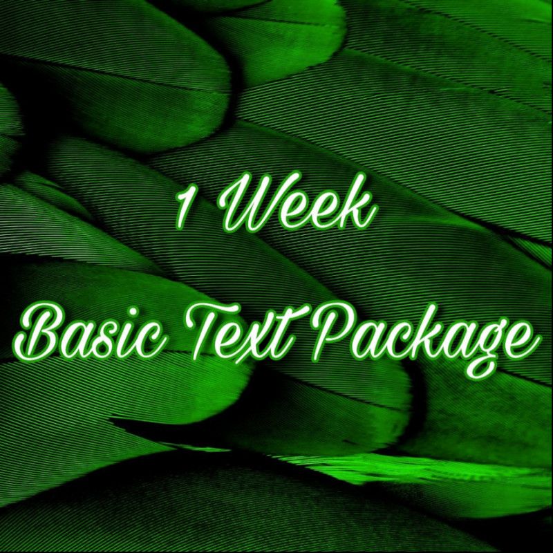 1 Week Basic Text Package