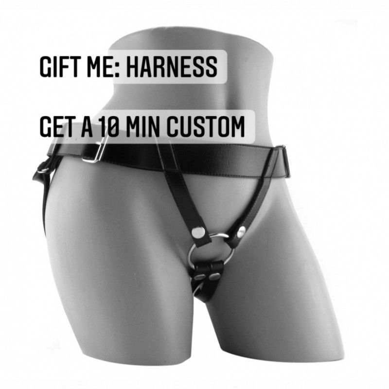 Gift Me: Harness