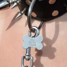 Property of Dakota Dog Tag anDog Collar