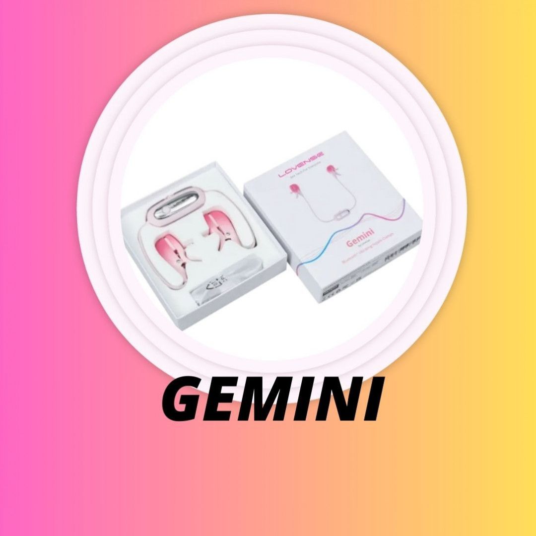 GEMINI