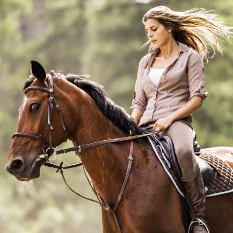 Horseback riding Lessons