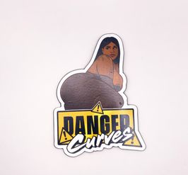 DangerCurves Magnet