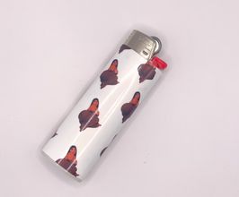 Bouncing Curves Lighters