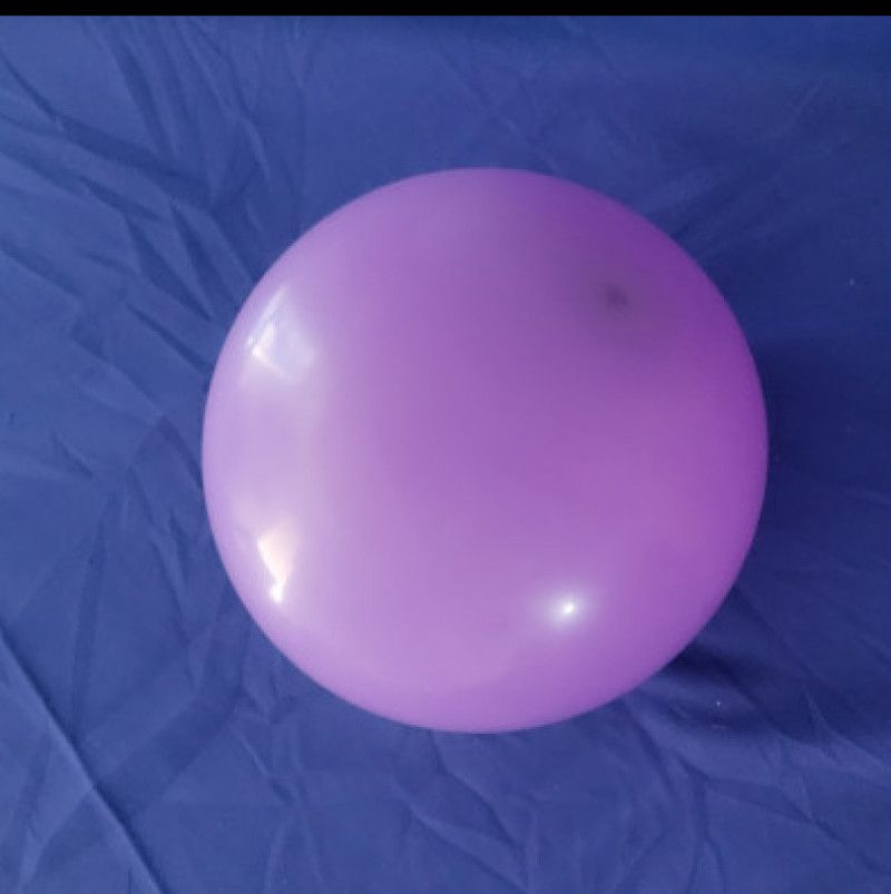 Vag Blown Queef Balloon