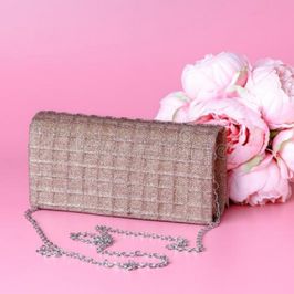 Brand new clutch bag