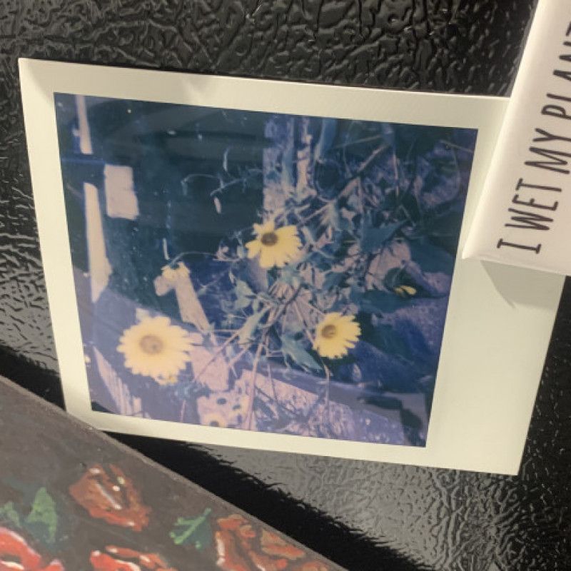 Polaroid Photos