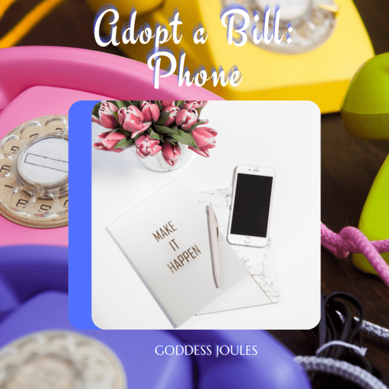 Adopt A Bill: Phone