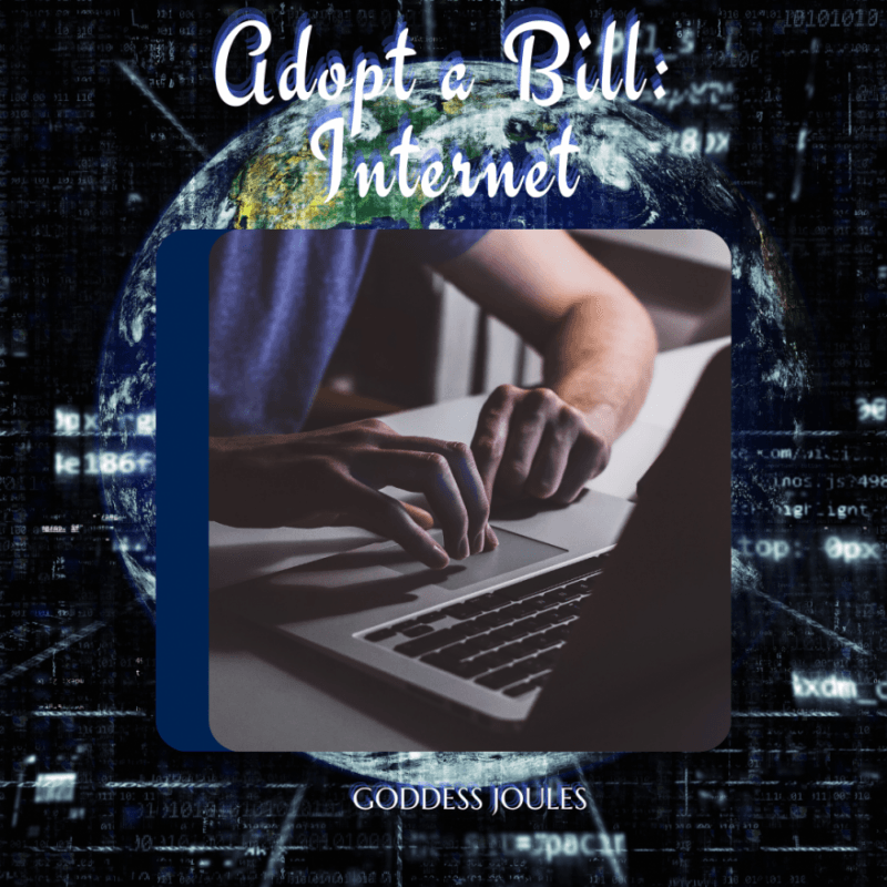 Adopt A Bill: Internet