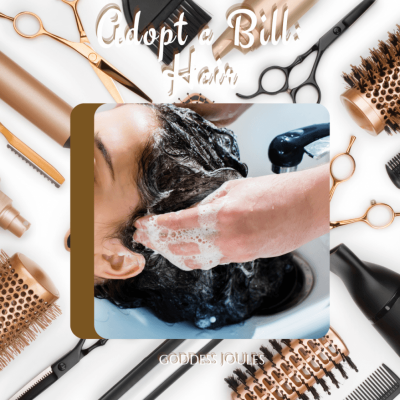 Adopt A Bill: Hair