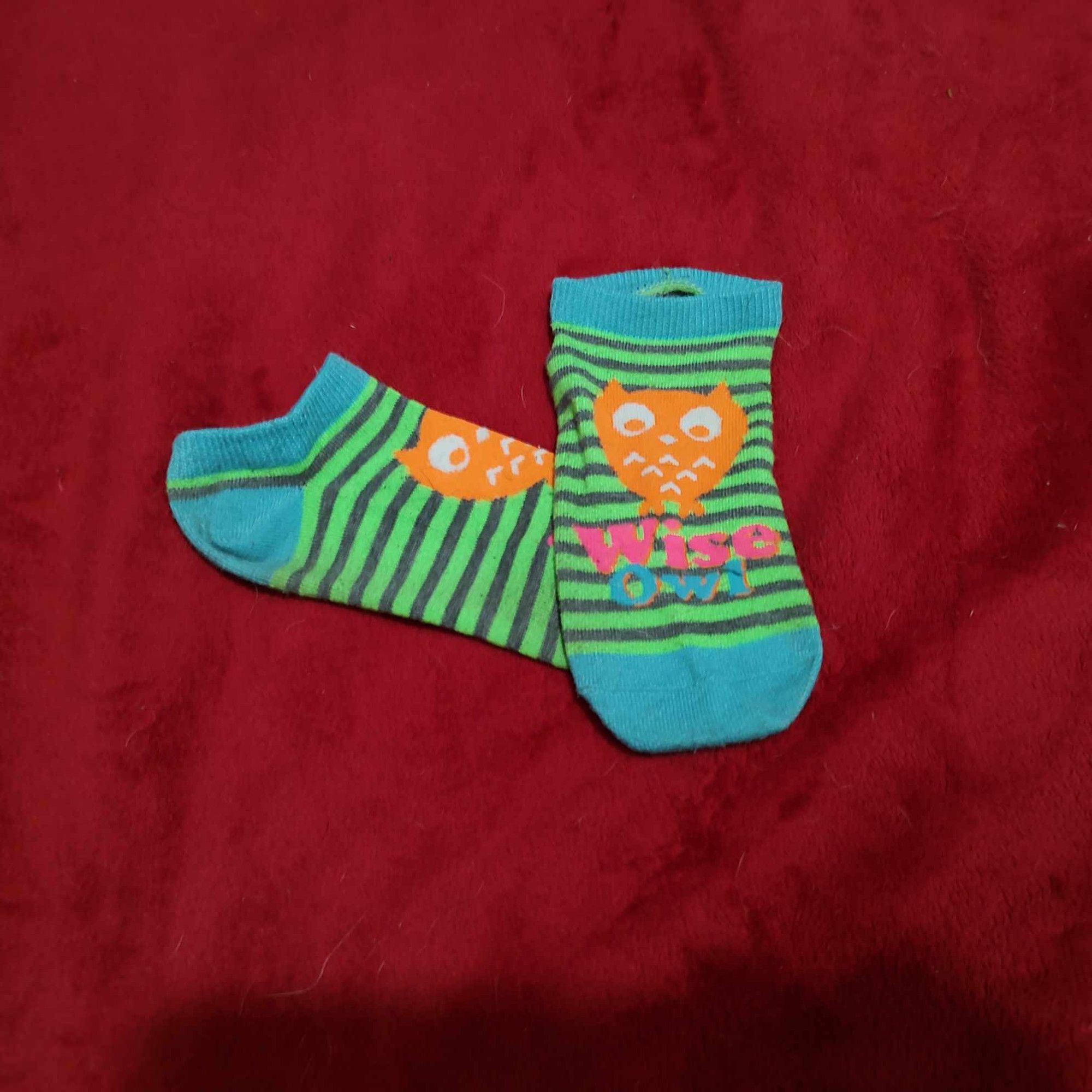 Wise Owl Socks