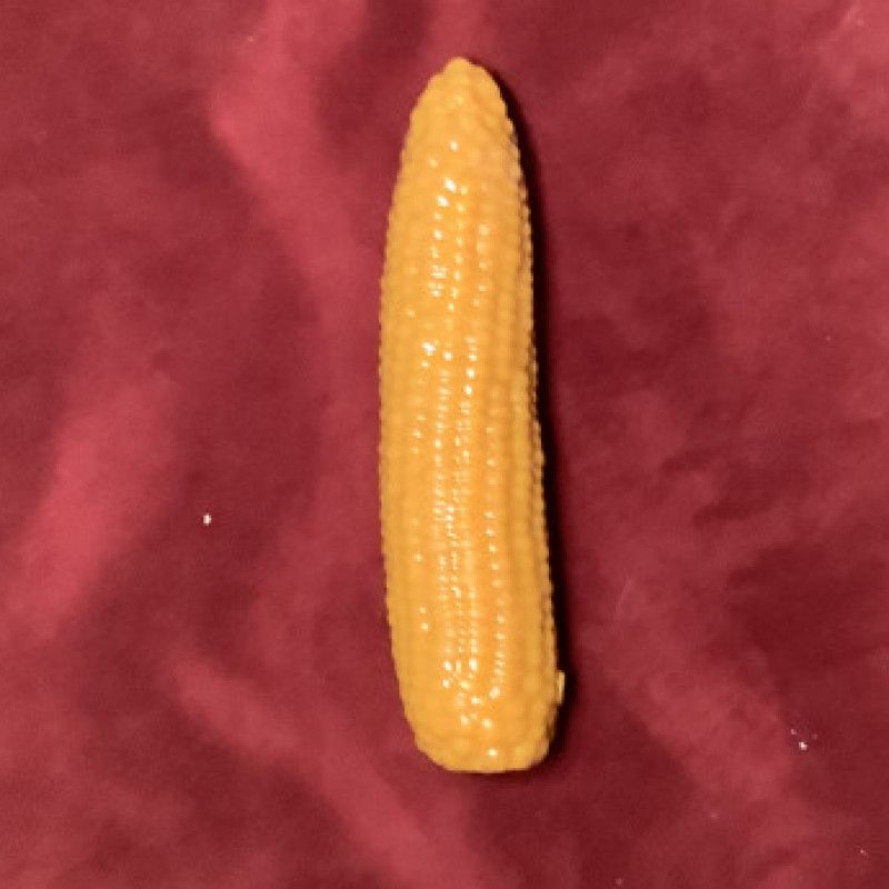 Corn Cob