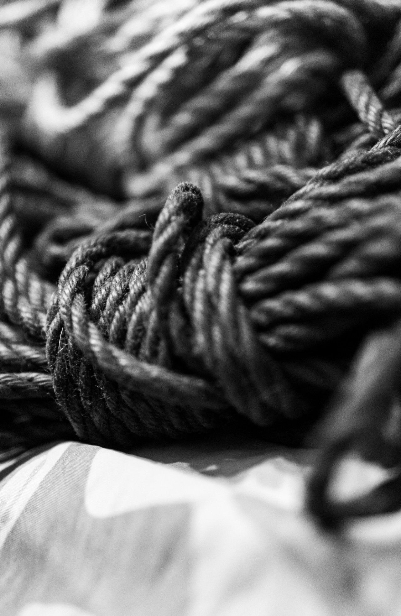 Shibari training classes