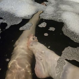 Feet in the Bath