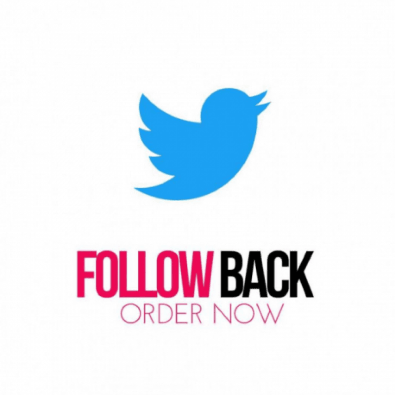 Follow back in Twitter