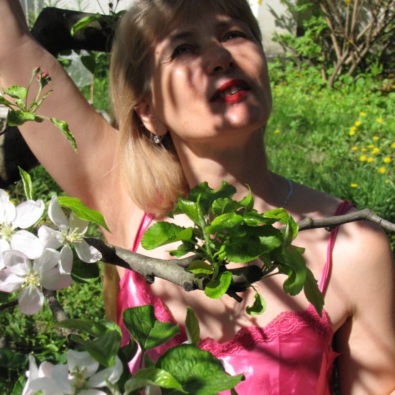 Apple Tree in Blossom