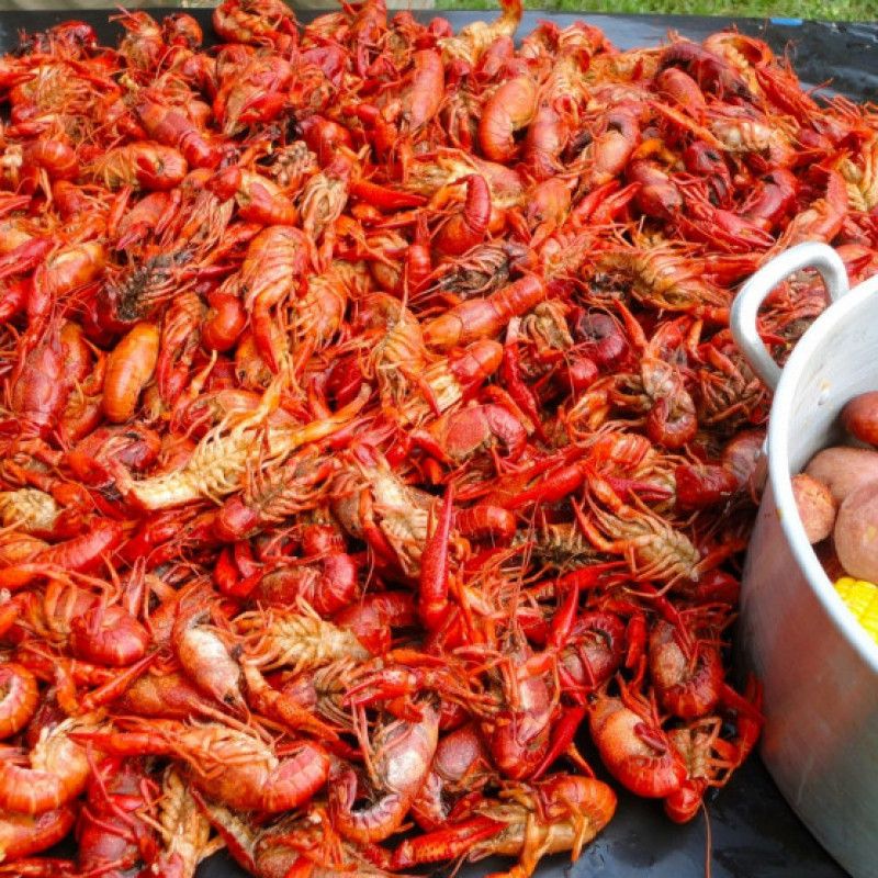 Buy Me Crawfish!