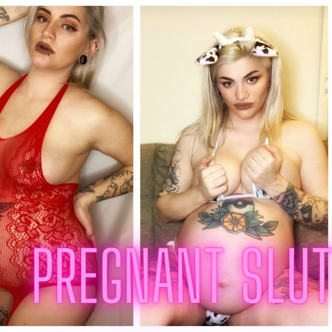 Massive Pregnancy Video Bundle  10 videos