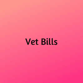 Vet Bills