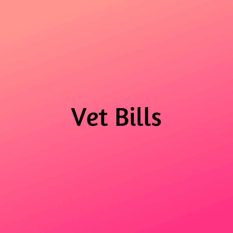 Vet Bills