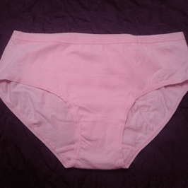 Bubblegum Pink Bikini Briefs