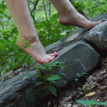 Emilia Song Walk in the Woods