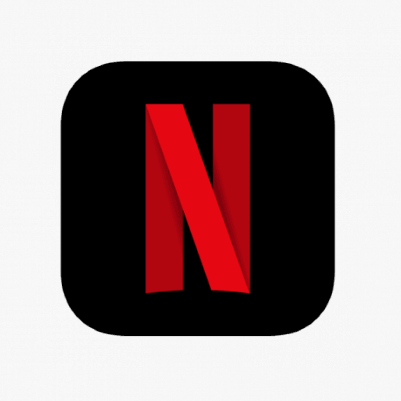 NETFLIX SUBSCRIPTION