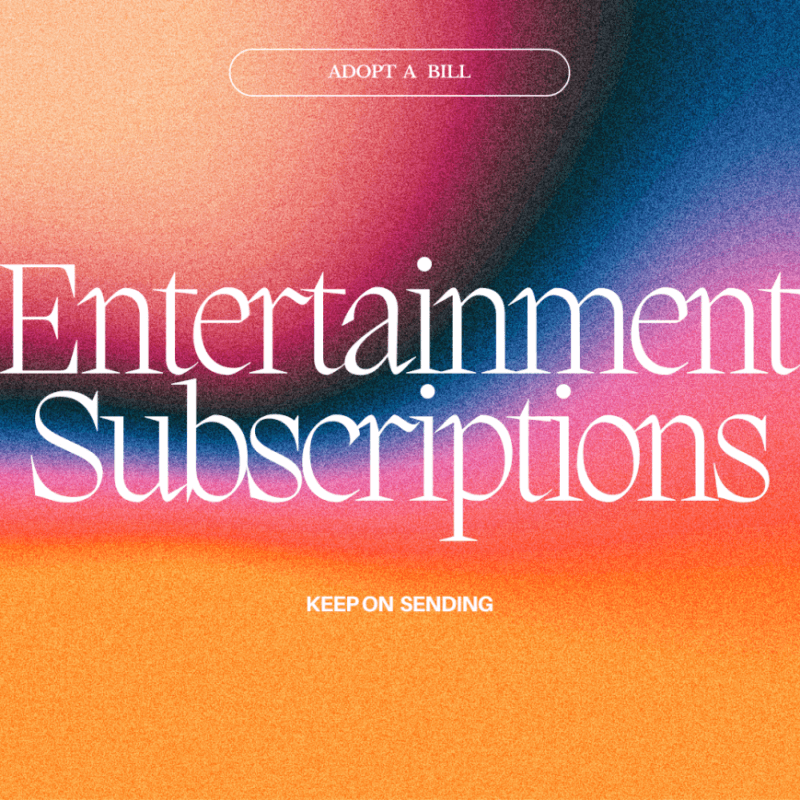 Adopt A Bill: Entertainment Subscription