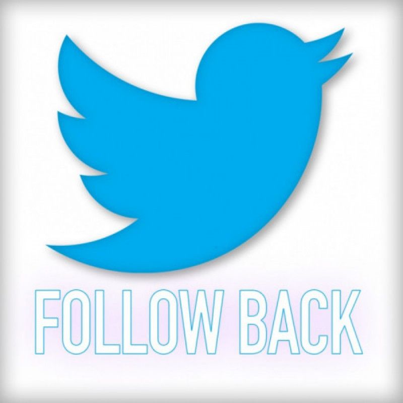 follow back on twitter