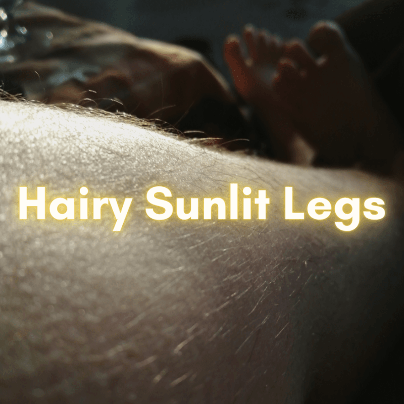 Hairy Sunlit Legs