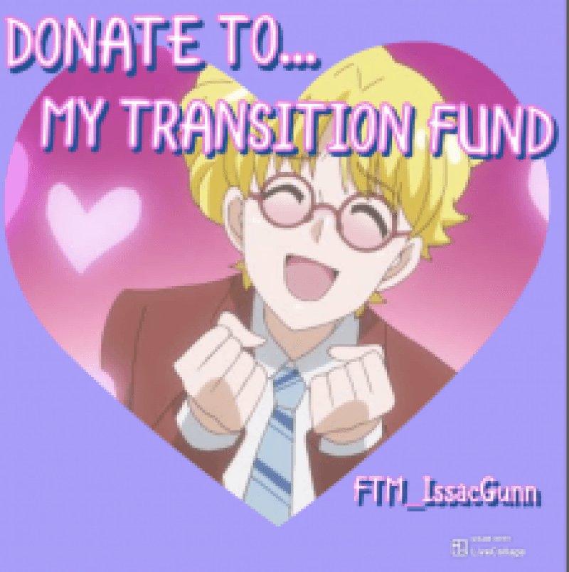 TRANSITION FUND