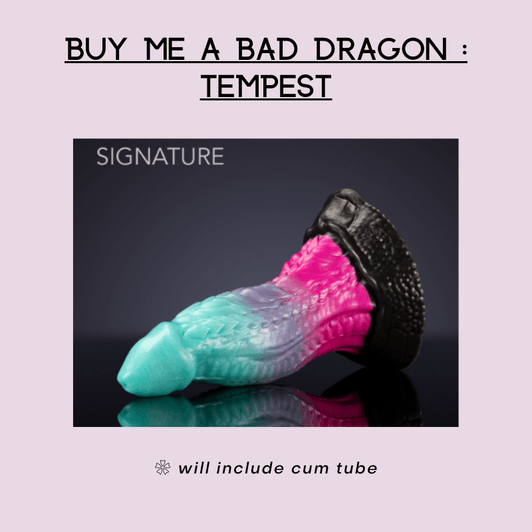 Buy Me : Tempest Bad Dragon