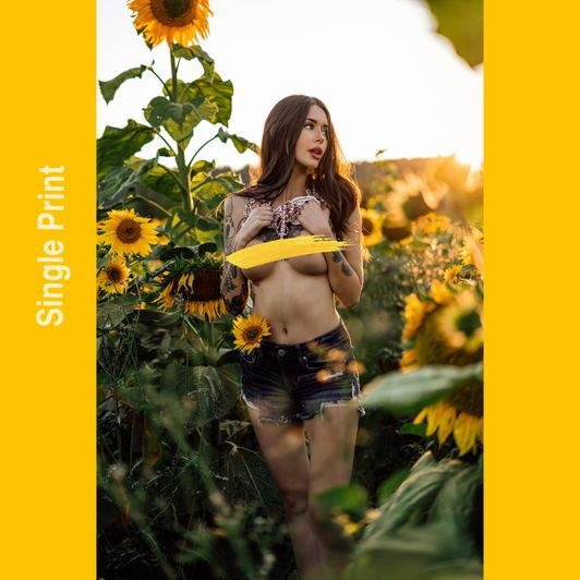 Sunflower Topless Print