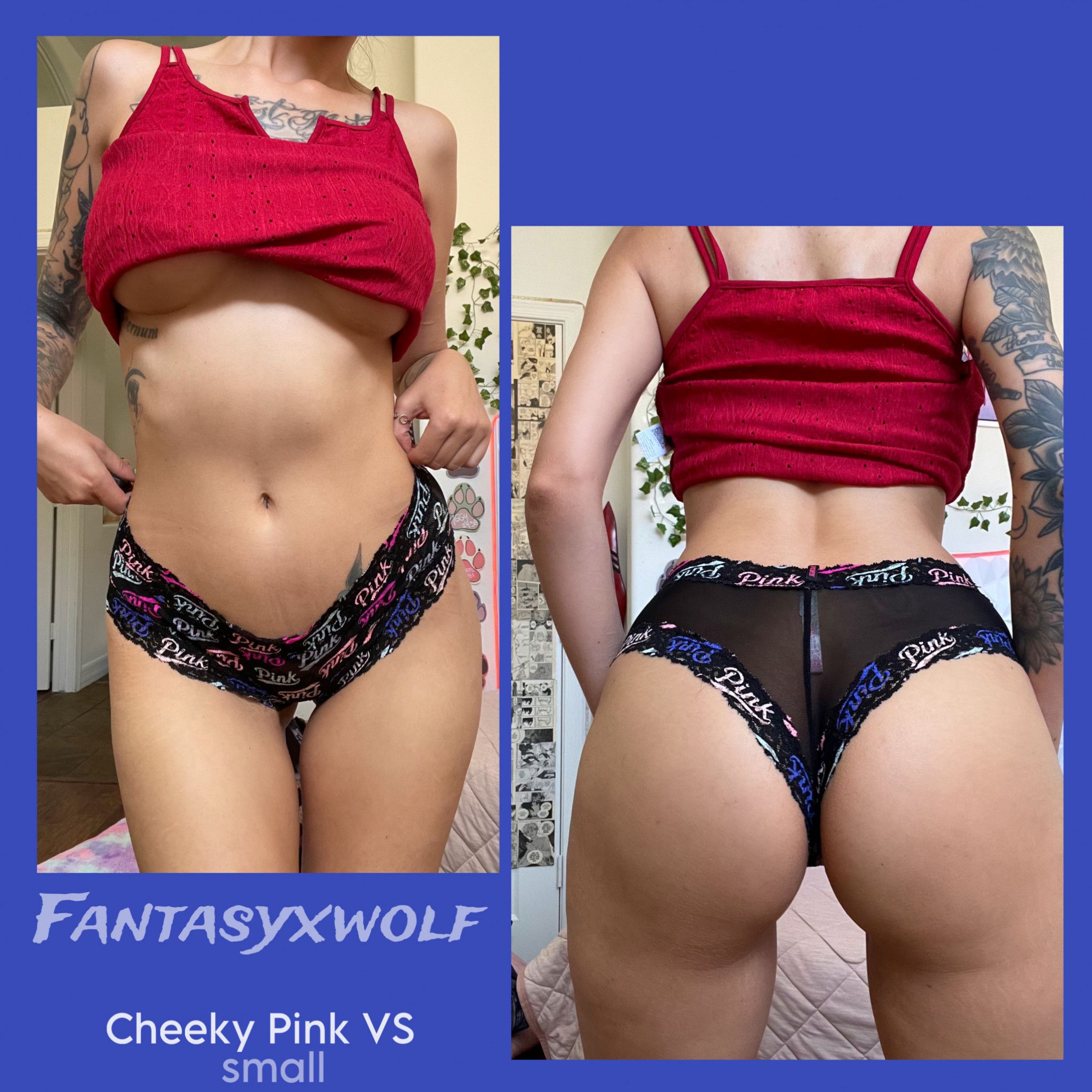 Cheeky Panties Pink VS