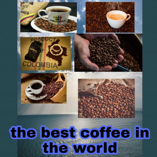 the best coffee in the world