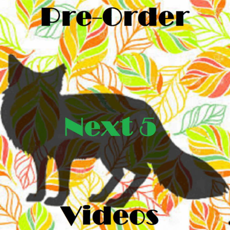 Pre Order Next 5 video uploads