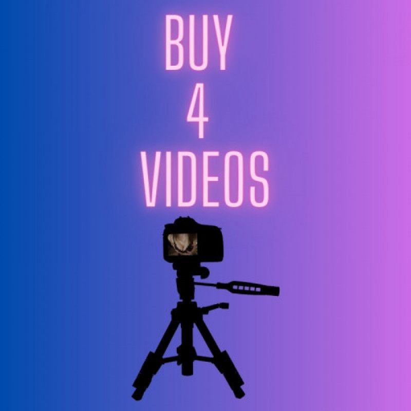 4 Videos Bundle