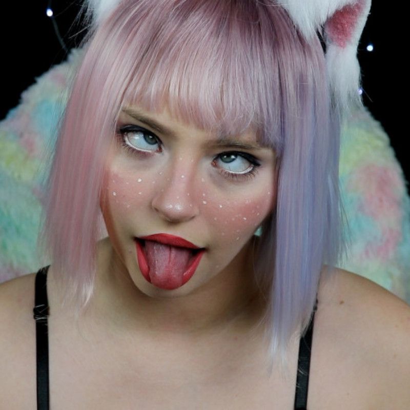 Galaxy Cat Photoset