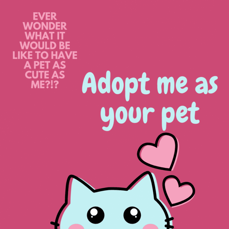 ADOPT MEEE!!!!