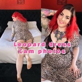 Leopard Dress Cam Photos