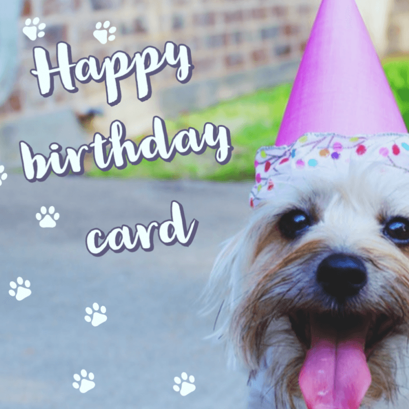 Happy Birthday Card