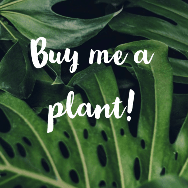 Buy your crazy plant lady a new plant:D