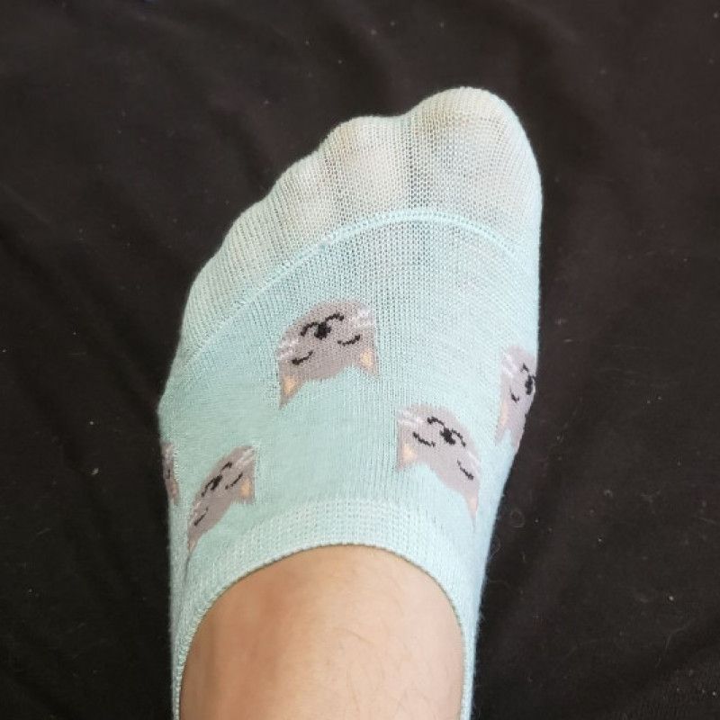 Tiny socks blue with cats