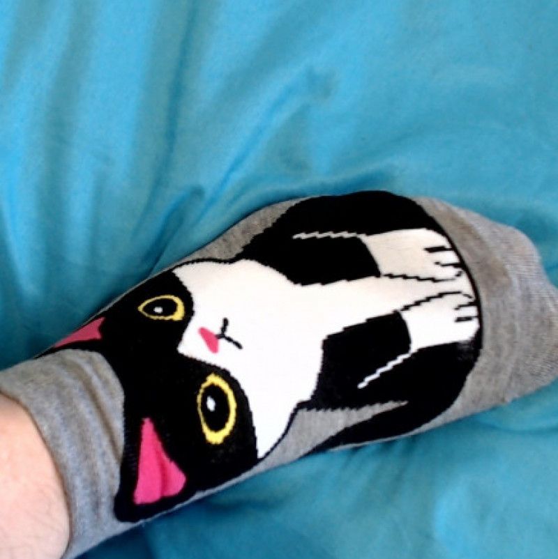 Black cat grey socks