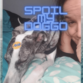 Spoil my dog: she deserves it