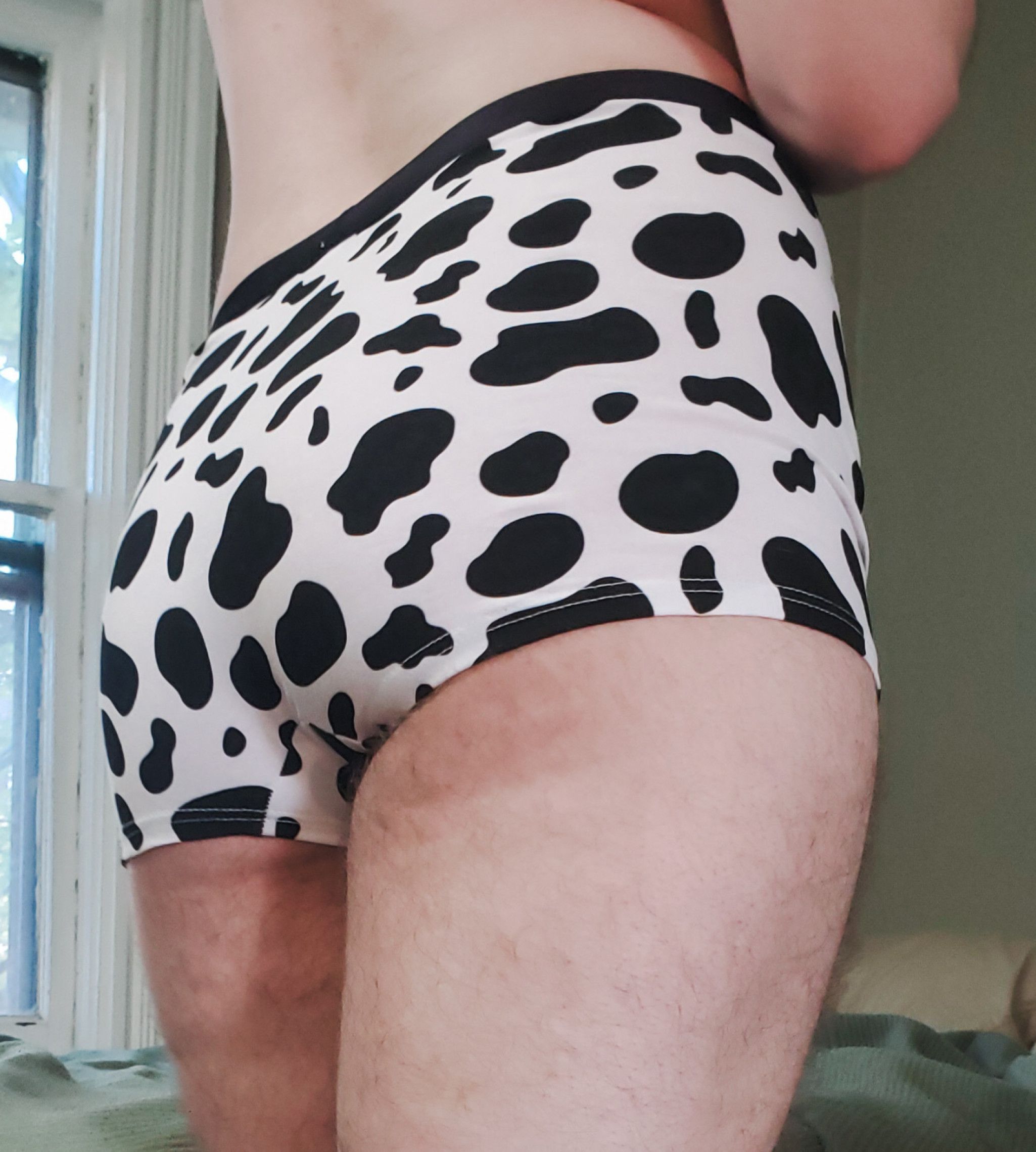 Cow Print Boxers