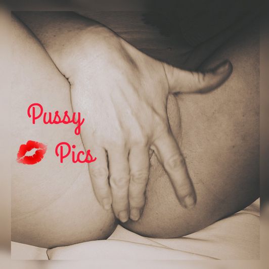 Pussy Pics Photo Set