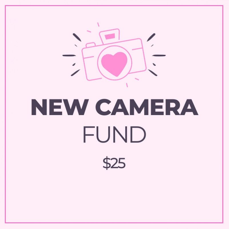 NEW CAMERA FUND 25