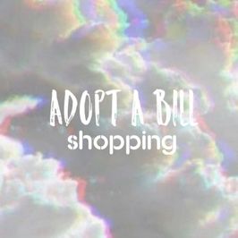 Adopt a Bill: Shopping